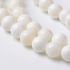 White Natural Shell Round Bead Strands, White, 8.5mm, Hole: 1mm, about 47pcs/strand, 15.4 inch