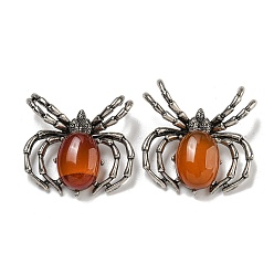Красный Агат Подвески из окрашенного и нагретого натурального сердолика, прелести паука, с реечной накладкой из латуни с фурнитурой под античное серебро, без кадмия и без свинца, 36x36x7.5 мм, отверстие : 3x5.5 мм