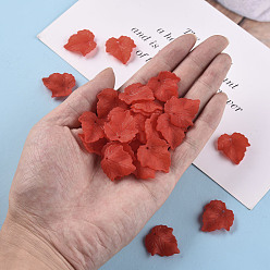 Red Autumn Theme Transparent Frosted Acrylic Pendants, Maple Leaf, Red, 24x22.5x3mm, Hole: 1mm, about 1312pcs/500g
