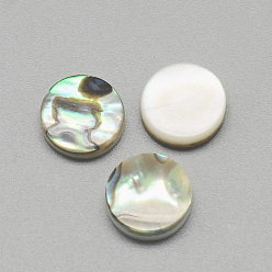 Разноцветный Пауа оболочке кабошонов, плоско-круглые, красочный, 10x3 мм