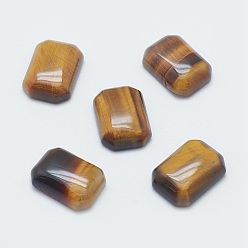 Тигровый глаз Природных тигровый глаз кабошонов, прямоугольные, 14x10x4.5 мм