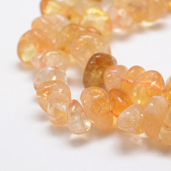 Citrine Natural Citrine Beads Strands, Nuggets, Dyed & Heated, 12~20x6~8mm, Hole: 1mm, 15.3 inch(39cm)