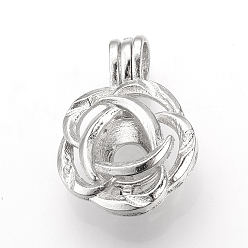 Platine Alliage pendentifs diffuseur médaillon, pendentifs cage, fleur, platine, 26x19x9mm, trou: 3.5x5 mm, mesure intérieure: 8 mm
