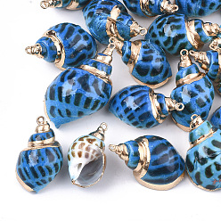 Dodger Blue Spray Paint & Electroplate Spiral Shell Pendants, with Iron Findings, Light Gold, Dodger Blue, 28~38x15~22x13~20mm, Hole: 2mm
