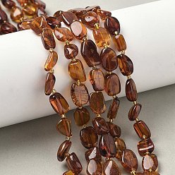 Янтарный Янтарные шарики нити, самородки, с бисером, 8.5~11x7~8x3.5~4.5 мм, отверстие : 0.7 мм, около 35~37 шт / нитка, 15.35~15.55 дюйм (39~39.5 см)