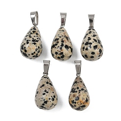 Далматинских Джаспер Природные яшмы далматин подвески, латунная фурнитура с платиновым покрытием, слеза, 23~24.5x13 мм, отверстие : 7~7.5x4 мм