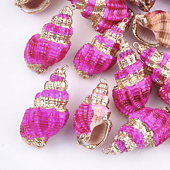 Deep Pink Spray Painted & Electroplate Spiral Shell Pendants, with Iron Findings, Light Gold, Deep Pink, 31~43x17~21x15~19mm, Hole: 1.5mm