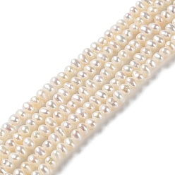 PapayaWhip Natural Cultured Freshwater Pearl Beads Strands, Potato, Grade 4A++, PapayaWhip, 3~4x2.8~3.2mm, Hole: 0.5mm, about 138pcs/strand, 15.16~15.24 (38.5~38.7cm)
