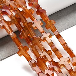 Red Agate Нити бусин из натурального красного агата (окрашенные и нагретые), крестик, 20.5x12.5x4.5 мм, отверстие : 1 мм, около 19 шт / нитка, 15.55'' (39.5 см)