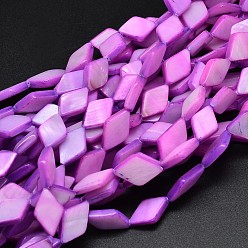 Средняя Орхидея Окрашенная натуральная пресноводная ракушка, средне орхидеи, 15x10x3 мм, отверстие : 1 мм, около 26 шт / нитка, 14.9 дюйм