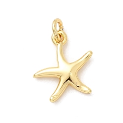 Морская звезда Латунь прелести, долговечный, стойки покрытие, реальный 18 k позолоченный, с прыжковых колец, морская звезда, 12x11x2 мм