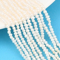 Бежевый Нити из натурального культивированного пресноводного жемчуга, картофель, класс 3а+, бежевые, 2~3 мм, отверстие : 0.5 мм, около 136 шт / нитка, 13.70'' (34.8 см)