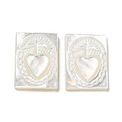 Кремово-белый Резные кабошоны из натуральной белой ракушки, прямоугольные, кремово-белые, 15.5x12x2.2~2.6 мм