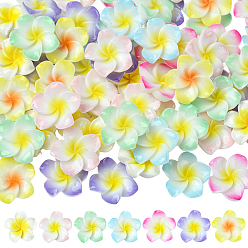 (52) Непрозрачная лаванда 70 шт. 7 цветные окрашенные непрозрачные смоляные кабошоны, плюмерия красная, два тона, разноцветные, 19~20x19~20.5x5.5 мм, 10 шт / цвет