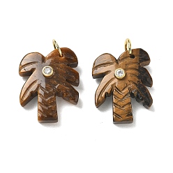 Tiger Eye Natural Tiger Eye Carved Pendants, Coconut Tree Charms with Brass Pave Clear Cubic Zirconia Findings, Golden, 26.5x20.5x7.5mm, Hole: 6.5mm