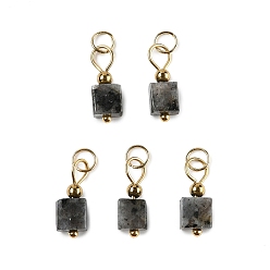 Лабрадорита Природные подвески лабрадорита, подвески suqare с 304 петлями из нержавеющей стали, золотые, 16x6x6 мм, отверстие : 3.5 мм