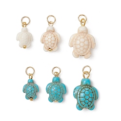 Золотой 6шт. 2 подвески из синтетической бирюзы, окрашенные в цвета, прелести черепахи, с 304 фурнитурой из нержавеющей стали, разноцветные, золотые, 15~21x9~14x5~7 мм, Перейти кольцо: 5x1 мм, внутренний диаметр: 3 мм, 3 размеры / цвет