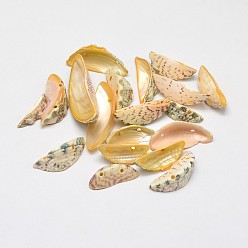Light Khaki Dyed Natural Shell Half Moon Beads, Light Khaki, 17~26x8~15x5~7mm, Hole: 1mm, about 650pcs/500g