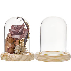 (404) Непрозрачное AB Кислое яблоко Стеклянный купол, декоративная витрина, колокол баночка террариум с деревянной основой, для подарка своими руками сохраненного цветка, цветочный белый, 91x112 мм, 2 шт / коробка