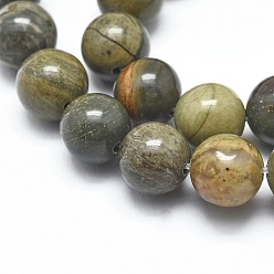 Silver Leaf Jasper Natural Silver Leaf Jasper Beads Strands, Round, 6mm, Hole: 1mm, about 62pcs/strand, 14.9 inch(38cm)