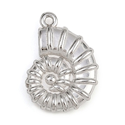 Shell Shape 304 подвески из нержавеющей стали, Тема океана, формы раковины, 21x14.5x3.5 мм, отверстие : 1.2 мм