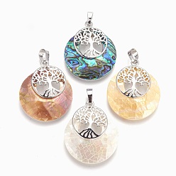 Разные Ракушки Подвески из раковины, с горный хрусталь и платиновый оттенок выводов из латуни, плоские круглые с дерева жизни, 32.5~33x27.5~28x5~6 мм, отверстие : 5x7 мм