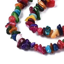 Mixed Color Natural Freshwater Shell Beads Strands, Dyed, Chips, Mixed Color, 2~6x4~14x4.5~8.5mm, Hole: 0.7~0.8mm, about 258~292pcs/strand, 31.10 inch~32.05 inch(79cm~81.4cm)