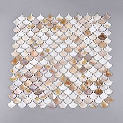 Freshwater Shell Natural Freshwater Shell Mosaic Tile Cabochons, Ginkgo Leaf, Flat Back, 24.5~25.5x24~25x1.5~2mm, about 220pcs/set