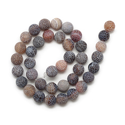 Coconut Brown Natural Weathered Agate Bead Strands, Frosted, Dyed, Round, Coconut Brown, 4~4.5mm, Hole: 1mm, about 95pcs/strand, 14.6 inch