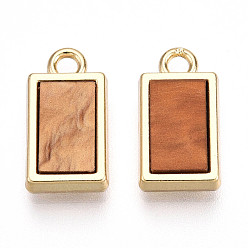 Золотой Талисман из сплава, с ацетатом целлюлозы, прямоугольные, золотые, 15x8x3 мм, отверстие : 1.8~2 мм