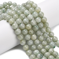 Бирманский Нефрит Натуральный майяр нефрит / бурманский нефрит бисерные пряди, круглые, 8~9 мм, отверстие : 0.8 мм, около 47 шт / нитка, 15.51 дюйм (39.4 см)