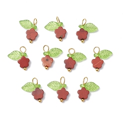 Красный Камень 10шт. подвески-цветы из натуральной красной яшмы, с прозрачным акриловым светло-зеленым листом и петлями из медной проволоки, золотые, 13~13.5x11.5x3.5 мм, отверстие : 2.5x3 мм