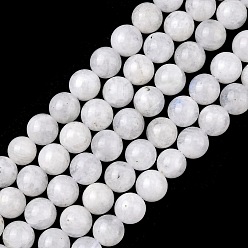 Rainbow Moonstone Бусины из натурального радужного лунного камня, круглые, белые, 6 мм, отверстие : 1 мм, 62 шт / нитка, 15.3 дюйм (38 см)