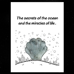 Лабрадорита Натуральный лабрадорит, резные фигурки в форме ракушки, орнамент, для домашнего украшения рабочего стола, Подарочная карта своими руками с вдохновением, оболочкой: 30 mm