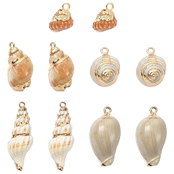 Mixed Color 10Pcs 5 Styles Electroplated Natural Mixed Shell Pendants, Shell Shape Charms, with Brass Findings, Golden, Mixed Color, 23~32x14~18x10.5~16mm, Hole: 1.4~1.6mm, 2pcs/style