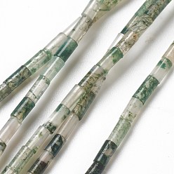 Мосс Агат Природные моховой агат бисер нитей, колонка, 4.3~5.6x2.3~2.5 мм, отверстие : 0.9 мм, около 82~86 шт / нитка, 14.96~17.71 дюйм (38~45 см)