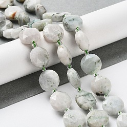 Tree Agate Natural Tree Agate Beads Strands, with Seed Beads, Faceted Hexagonal Cut, Flat Round, 12~12.5x5~6mm, Hole: 1.2~1.4mm, about 27~29pcs/strand, 15.55~15.75 inck(39.5~40cm)