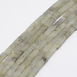 Labradorite Natural Labradorite Beads Strands, Cuboid, 13x5x5mm, Hole: 1mm, about 29pcs/Strand, 15.3 inch(39cm)