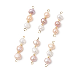 (52) Непрозрачная лаванда Трехцветные натуральные жемчужные подвески-коннекторы в виде картофеля, с 304 двойными петлями из нержавеющей стали, золотые, разноцветные, 30.5~31.5x8x5.5~6 мм, отверстия : 1.2 mm и 4 мм