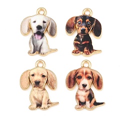 (52) Непрозрачная лаванда Подвески из сплава , стойки покрытие, собака прелести, напечатанный, без кадмия, без никеля и без свинца, золотые, разноцветные, 20.5x16x1.5 мм, отверстие : 1.8 мм