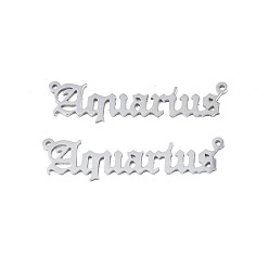 Aquarius Non-Tarnish 304 Stainless Steel Connector Charms, Word, Aquarius, 9x36x1mm, Hole: 0.8mm