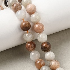 Multi-Moonstone Круглые нити из натуральных бусин из нескольких лунных камней, 8 мм, отверстие : 1 мм, около 48 шт / нитка, 15.55'' (39.5 см)