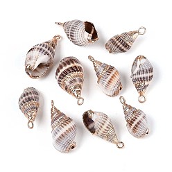 Морская Ракушка Подвески из алюминиевой пластины, с железной фурнитурой, золотые, цвет морской раковины, 16~26x8~12x8~10 мм, отверстие : 1.8 мм