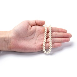 PapayaWhip Eco-Friendly Dyed Glass Pearl Round Beads Strands, Grade A, Cotton Cord Threaded, PapayaWhip, 6mm, Hole: 0.7~1.1mm, about 72pcs/strand, 15 inch