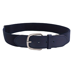 Прусский Синий 1 Эластичные ремни для софтбола из полиэстера и искусственной кожи, Сплав с застежками, платина, берлинская лазурь, 690~1070x34 мм