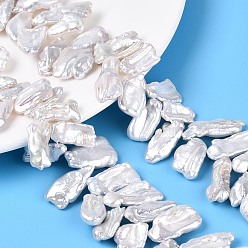 Морская Ракушка Натуральный жемчуг в стиле барокко кеши, зарождающаяся жемчужина, прямоугольные, Топ пробуренной, цвет морской раковины, 12.5~30x8.5~35x3~11 мм, отверстие : 0.5 мм, около 59~70 шт / нитка, 14.96~15.55 дюйм (38~39.5 см)