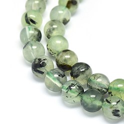 Prehnite Natural Prehnite Beads Strands, Round, 5~6mm, Hole: 0.4mm, about 70pcs/strand, 15.5 inch~16 inch(39.37~40.64cm)