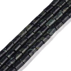 Kambaba Jasper Natural Kambaba Jasper Beads Strands, Column, 7.5~8.5x5~6mm, Hole: 1mm, about 45~46pcs/strand, 14.69~15.04 inch(37.3~38.2cm)