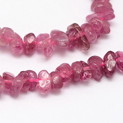 Tourmaline Chips Natural Tourmaline Beads Strands, 3~8x3~12x3~5mm, Hole: 1mm, about 16 inch