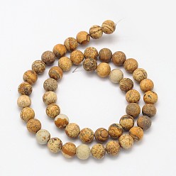 Picture Jasper Frosted Round Natural Picture Jasper Beads Strands, 6mm, Hole: 1mm, about 65pcs/strand, 15.3 inch